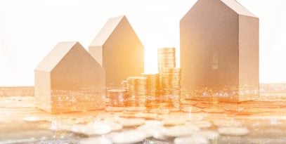 assets website