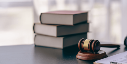 companies law webiste2