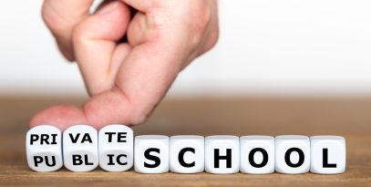 private public scholl website